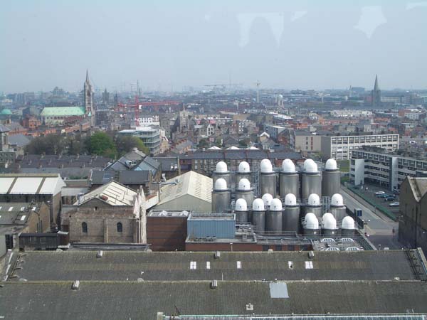 IMGP2828