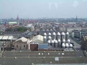 IMGP2828