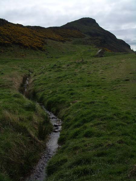 IMGP2714