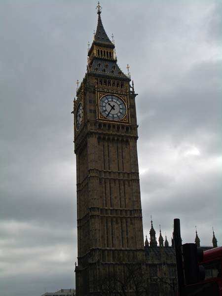 IMGP2449