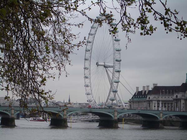 IMGP2458