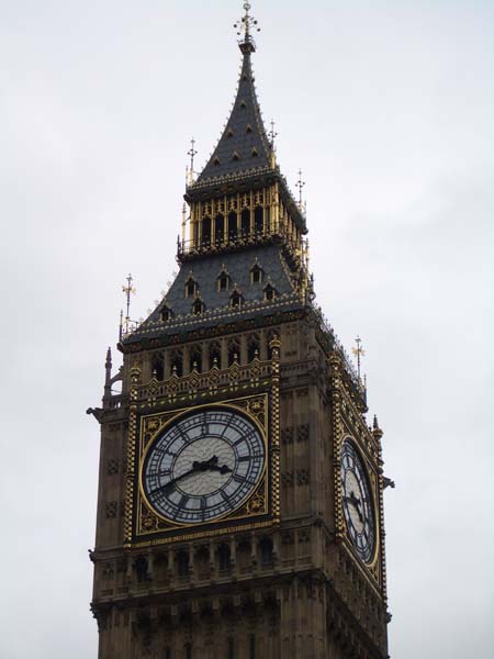 IMGP2469