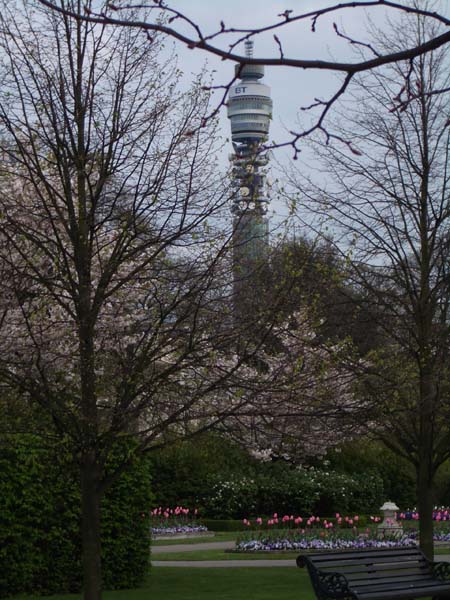 IMGP2484
