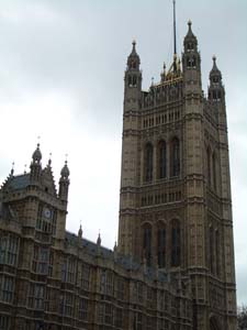 IMGP2454