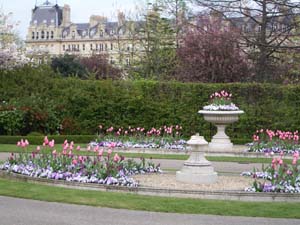 IMGP2481