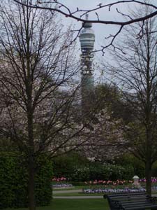 IMGP2484