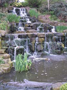 IMGP2493