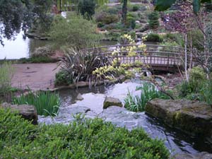 IMGP2498