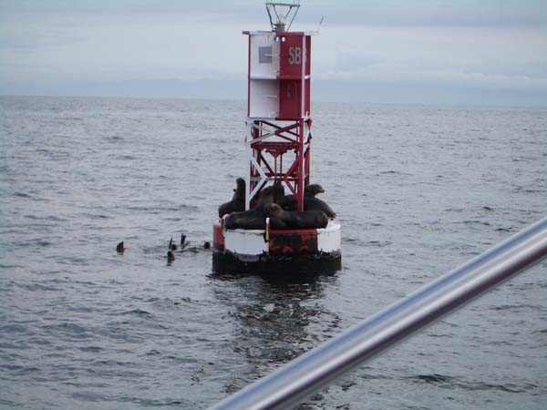 IMGP2886