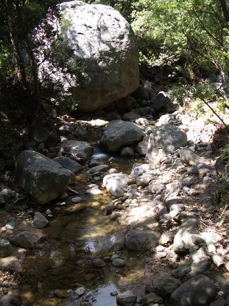 IMGP2952