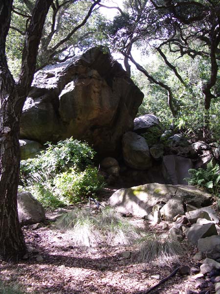 IMGP2957