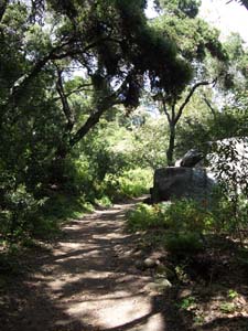 IMGP2954
