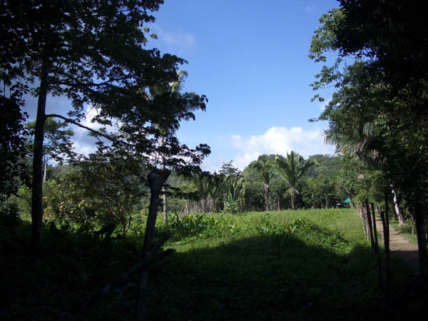 IMGP0465