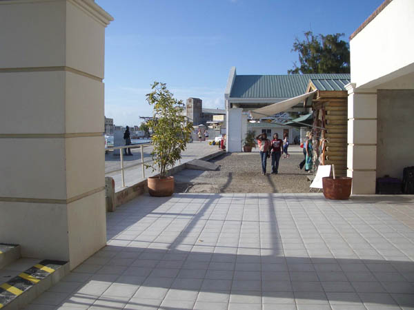IMGP0483