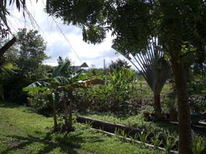 IMGP0452