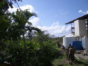 IMGP0453