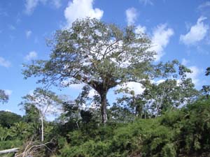 IMGP0477