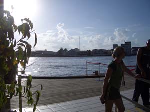 IMGP0484