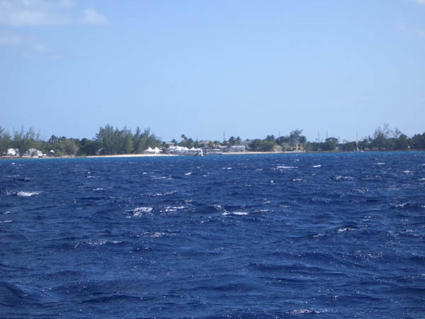 IMGP0584
