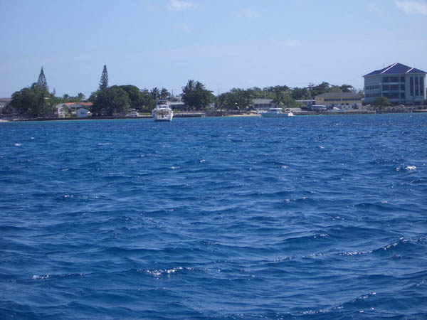 IMGP0589
