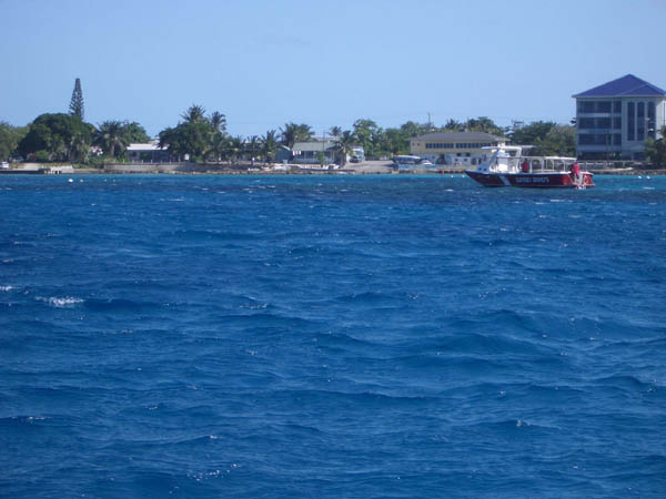 IMGP0592