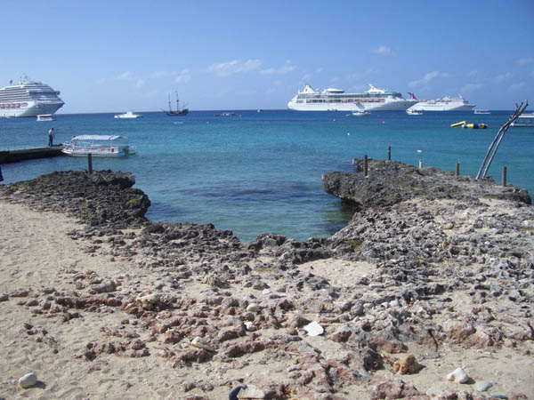 IMGP0600