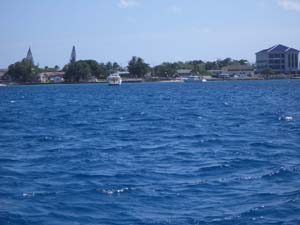 IMGP0589