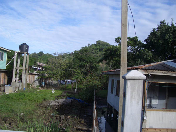 IMGP0503
