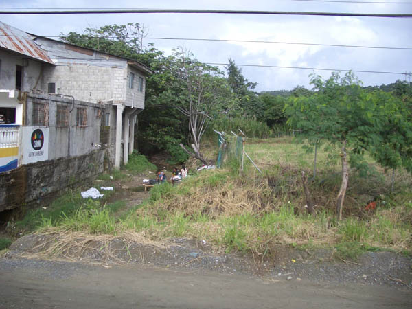 IMGP0505