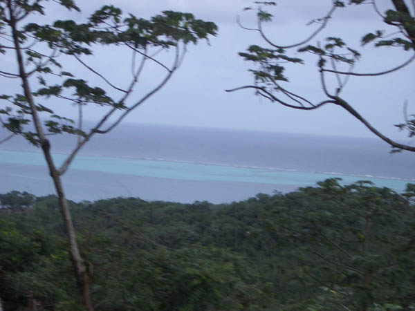 IMGP0509
