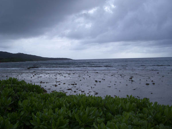 IMGP0519