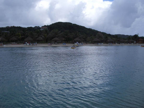 IMGP0520