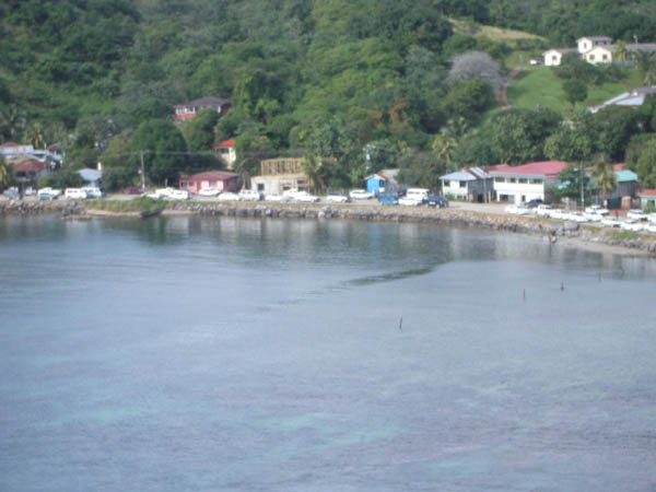 IMGP0542