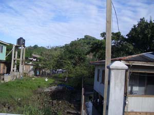 IMGP0503