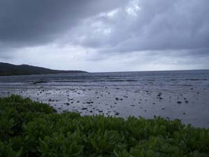 IMGP0519