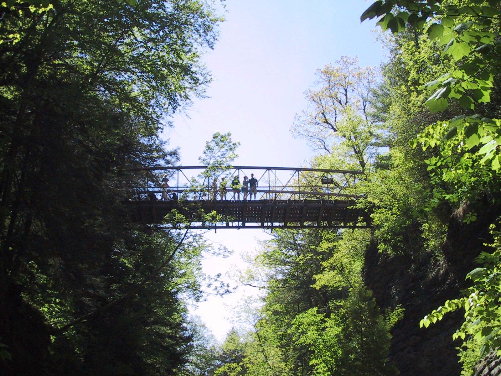 bridge