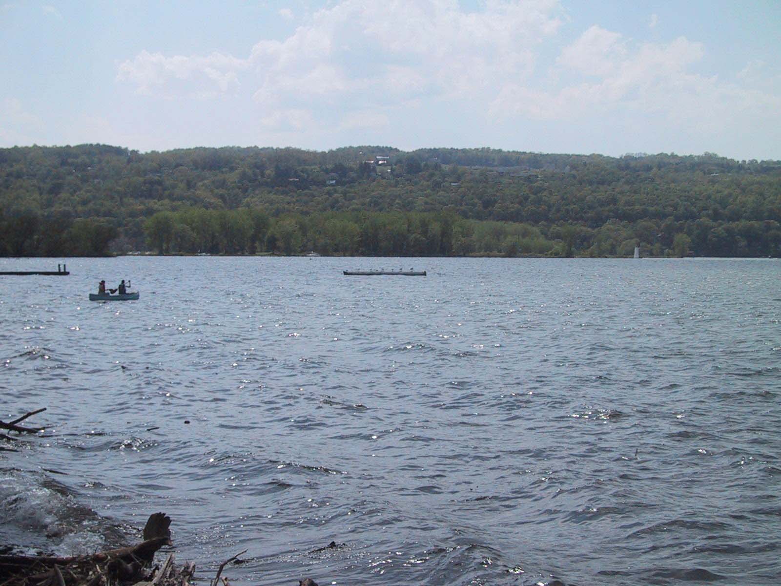 cayuga1